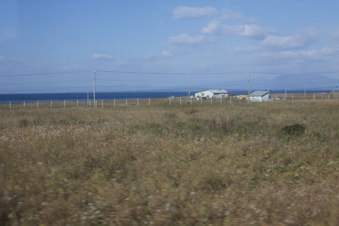 Field